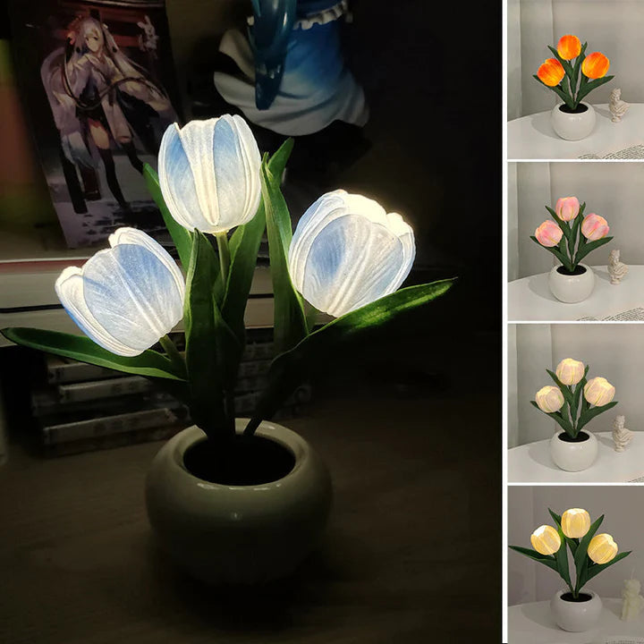 Tulip LED Desk Lamp in Ceramic Vase – Warm Ambient Light