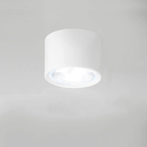 LED Ceiling Cylinder Spotlight